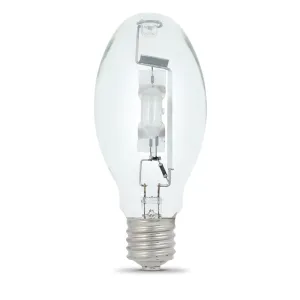Compact Fluorescent Bulb