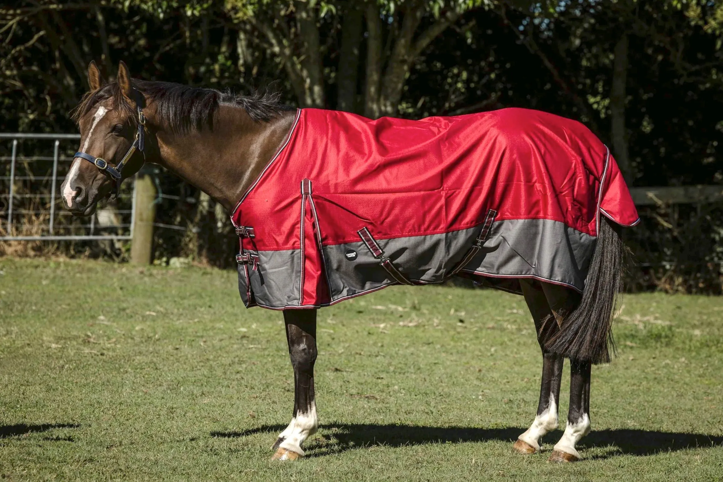 1200D 200g Red/Grey Rug Only NZ 4.3