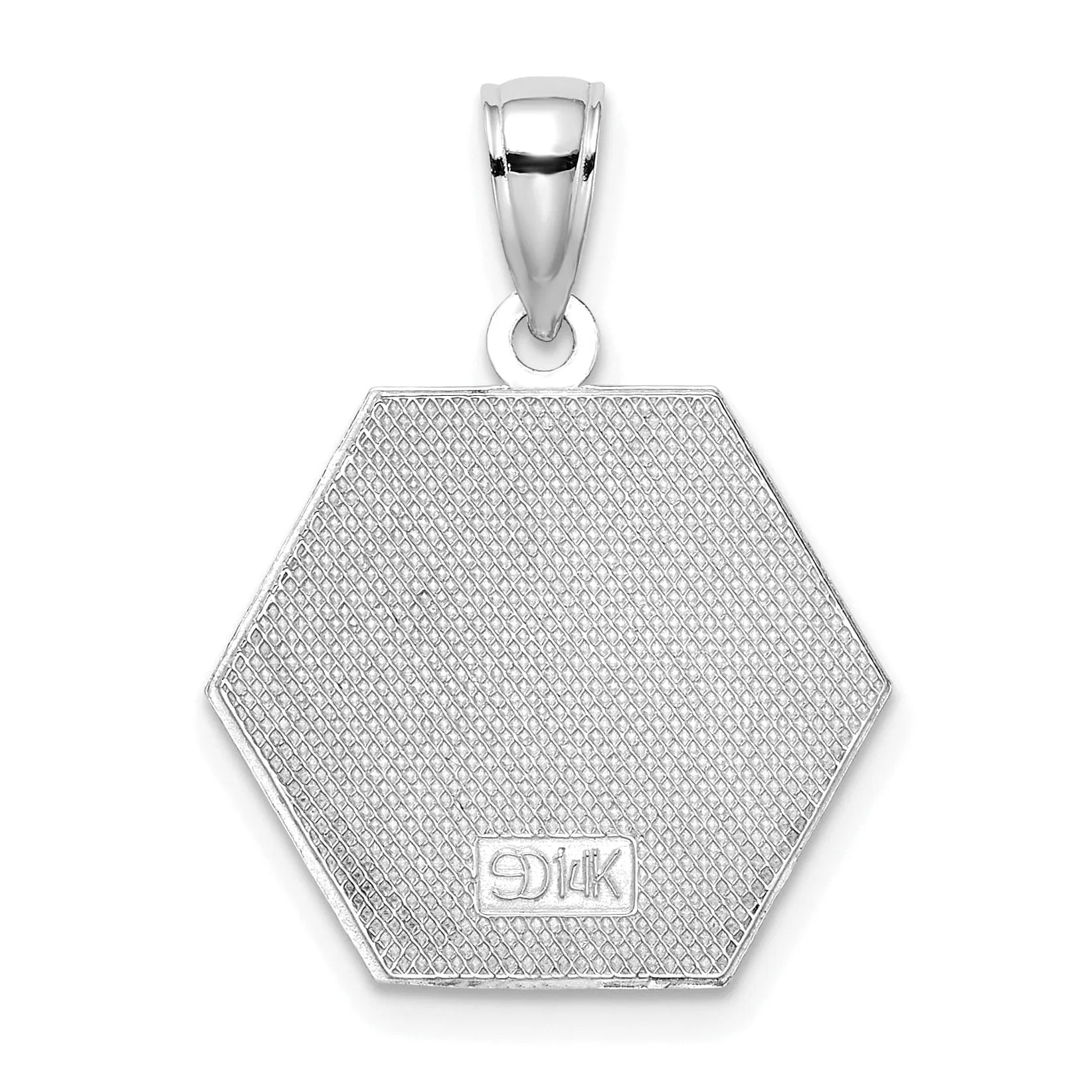 14K White Gold Textured Back Polished Finish Red Enameled Finish Caduceus Medical Disc Charm Pendant
