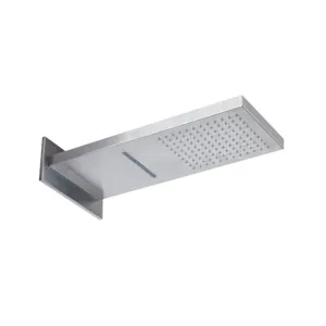 2 Function Wall Mount Shower Head