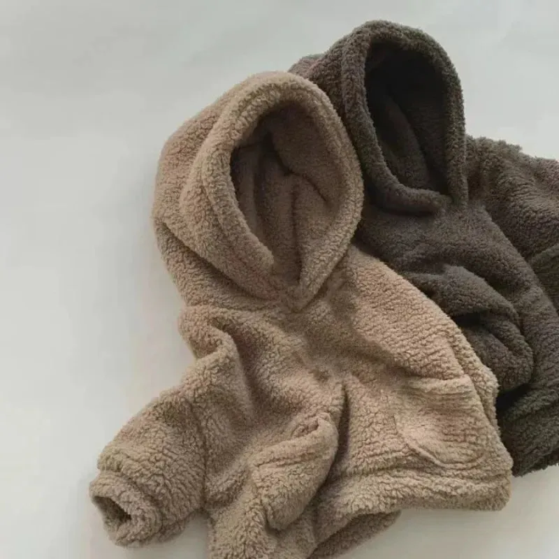 2Pcs Warm Thick Plush Fleece Hooded Sweatshirt and Pants Outfits