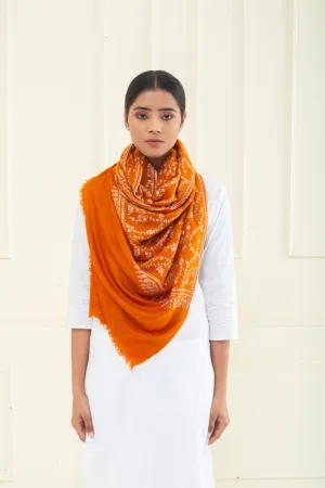 Adeer Burnt Orange Sozni Jaali Pashmina Stole