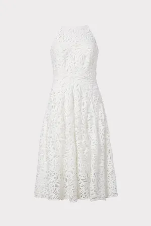 Alessia Embroidered Lace Dress