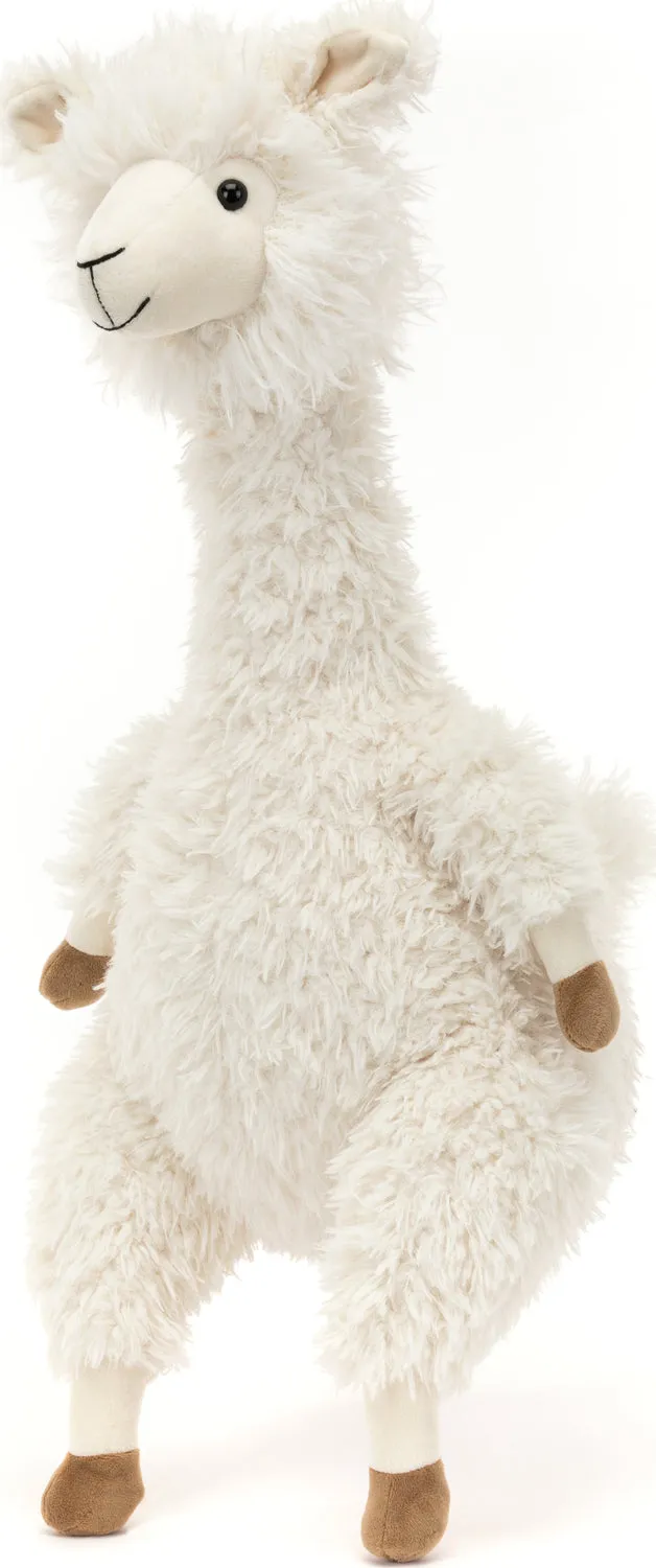 Alonso Alpaca