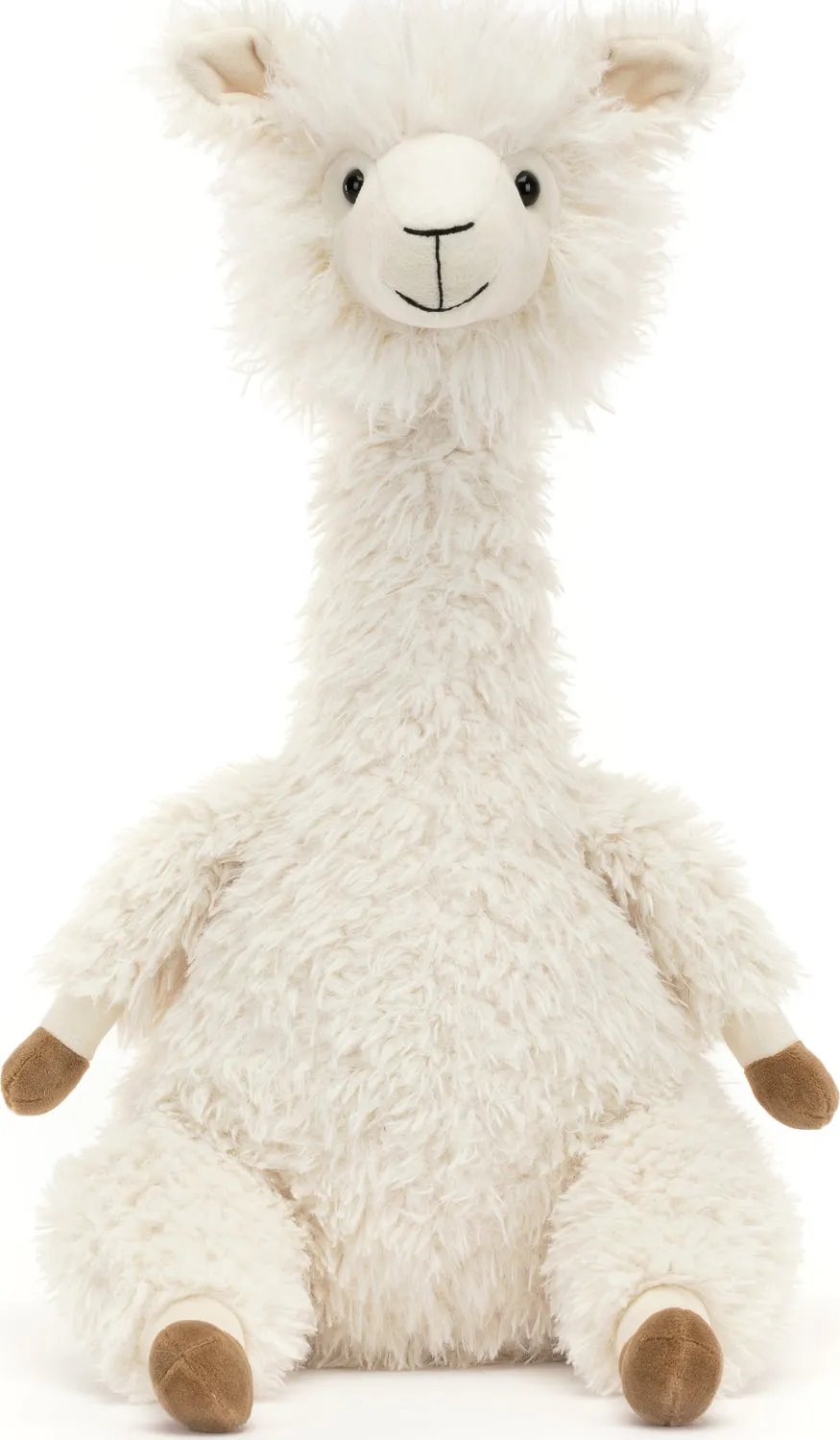 Alonso Alpaca