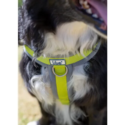 Ancol Viva Padded Harness Black XXL 97-130cm