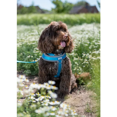 Ancol Viva Padded Harness Pink XXL 97-130cm