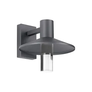 Ash 12 In. LED Hi-Output Outdoor Wall Sconce 1115 Lumens 3000K Surge Protection Gray Finish Clear Cylinder