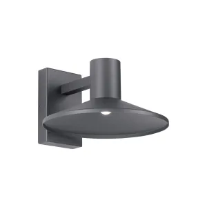 Ash 12 In. LED Hi-Output Outdoor Wall Sconce 863 Lumens 2700K Gray Finish Clear Lens