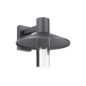 Ash 16 In. LED Lo-Output Outdoor Wall Sconce 591 Lumens 3000K Gray Finish Clear Cylinder