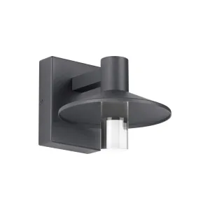 Ash 8 In. LED Hi-Output Outdoor Wall Sconce 1189 Lumens 3000K Gray Finish Clear Cylinder