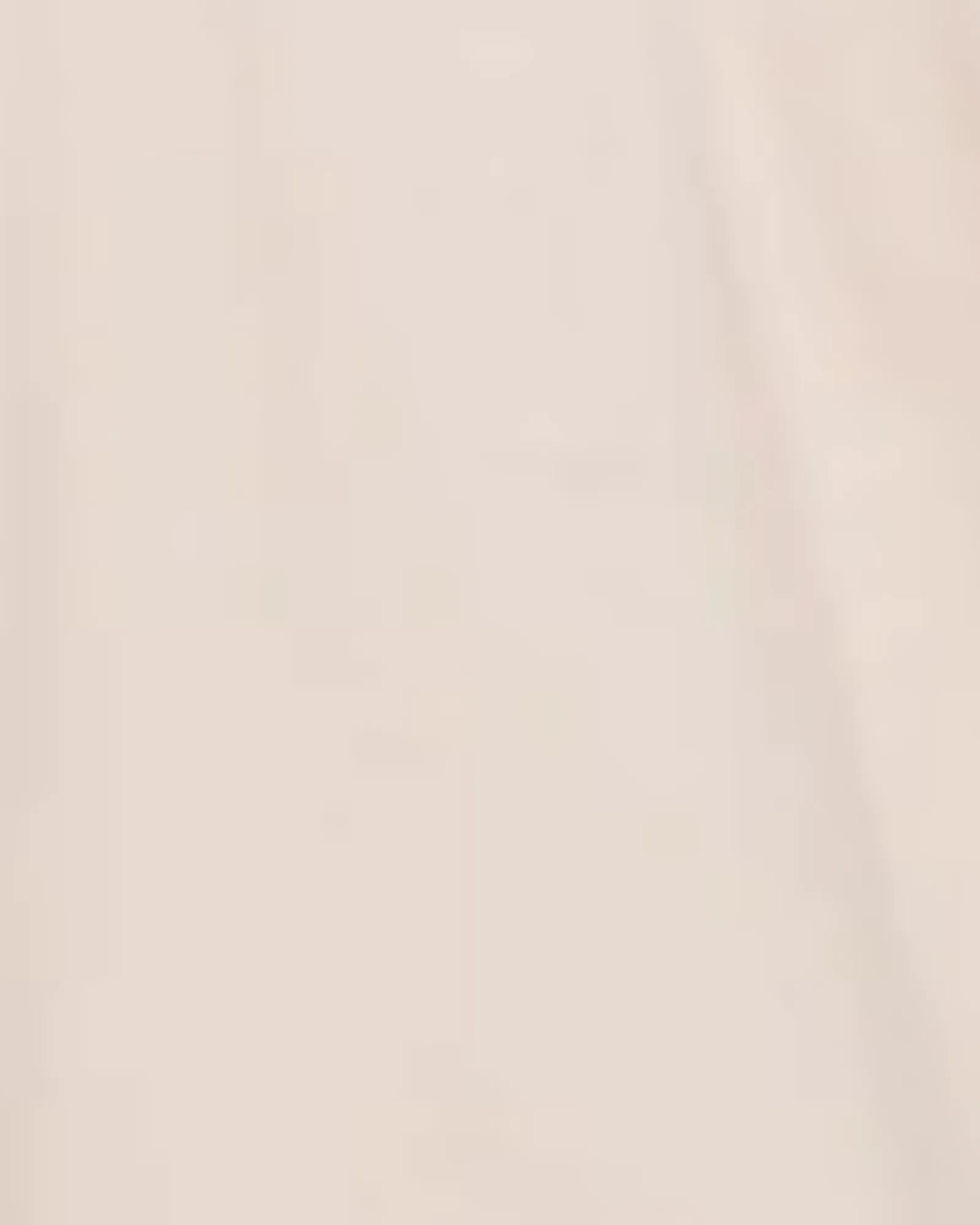 Ashlyn Tie Neck Blouse | Taupe