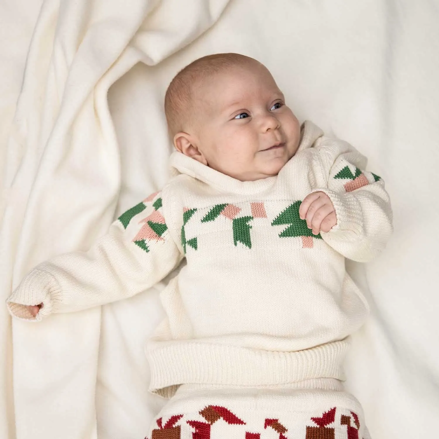 Baby kersttrui Hoodie