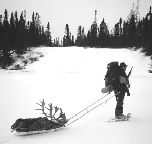 Cold Essentials