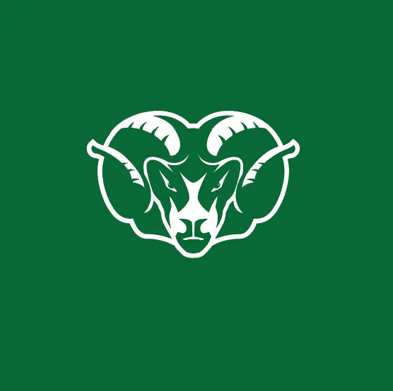 Badin Fall 2020 Nike Franchise Polo