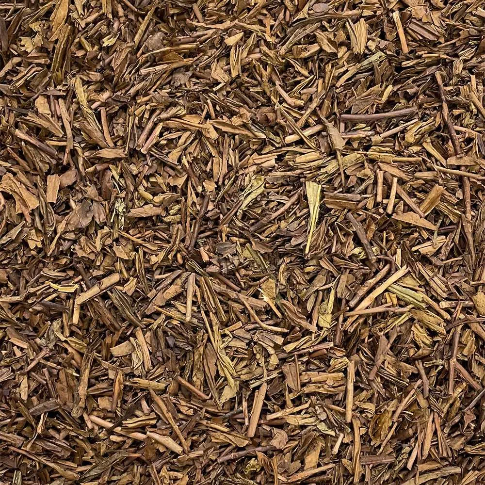 Bancha Hojicha