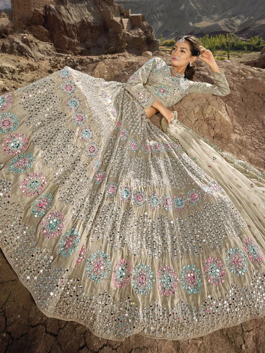 Beige Organza Embroidered Lehenga Choli