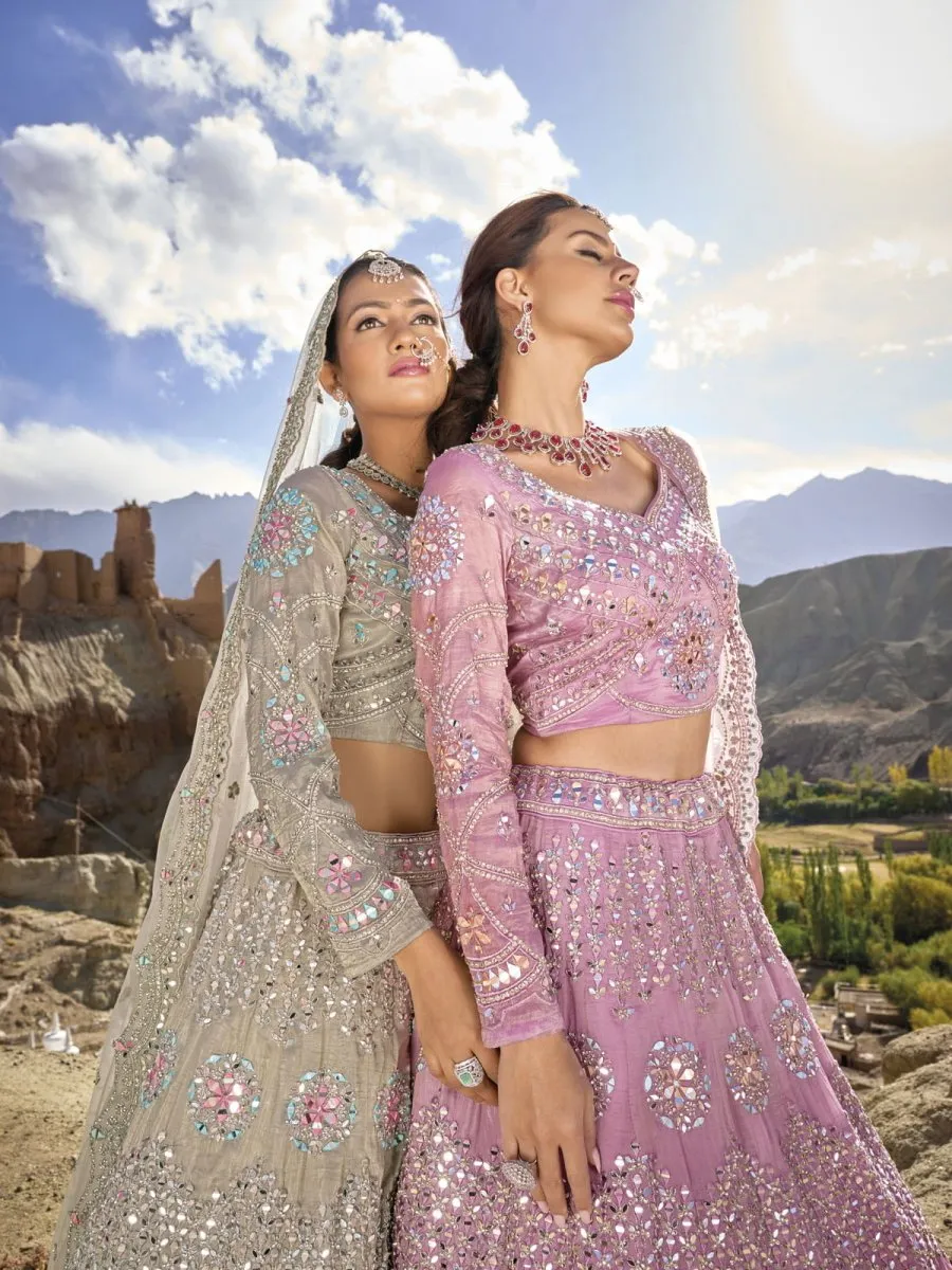 Beige Organza Embroidered Lehenga Choli