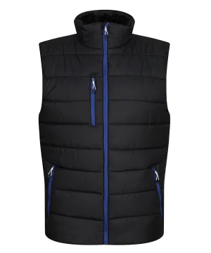 Black/New Royal - Navigate thermal bodywarmer