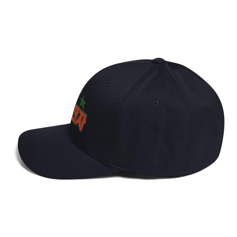 Blessed man Structured Twill Cap - StyleMZ