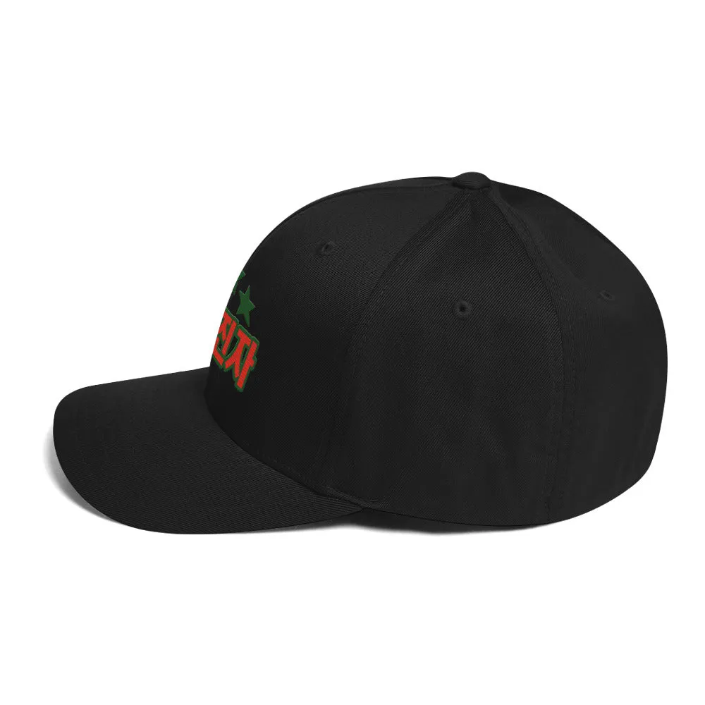 Blessed man Structured Twill Cap - StyleMZ