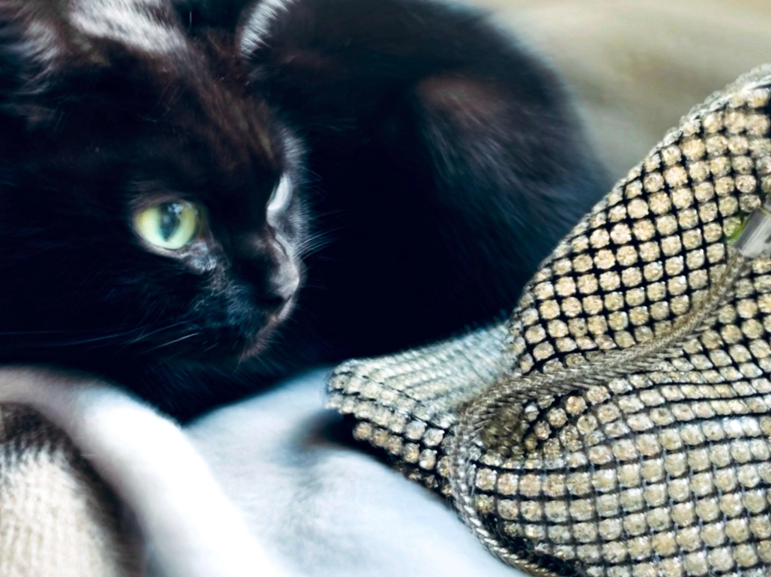 Bling My Bell