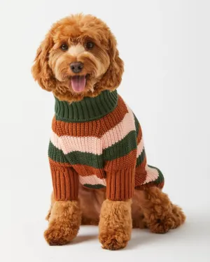 Bold Stripe Dog Sweater
