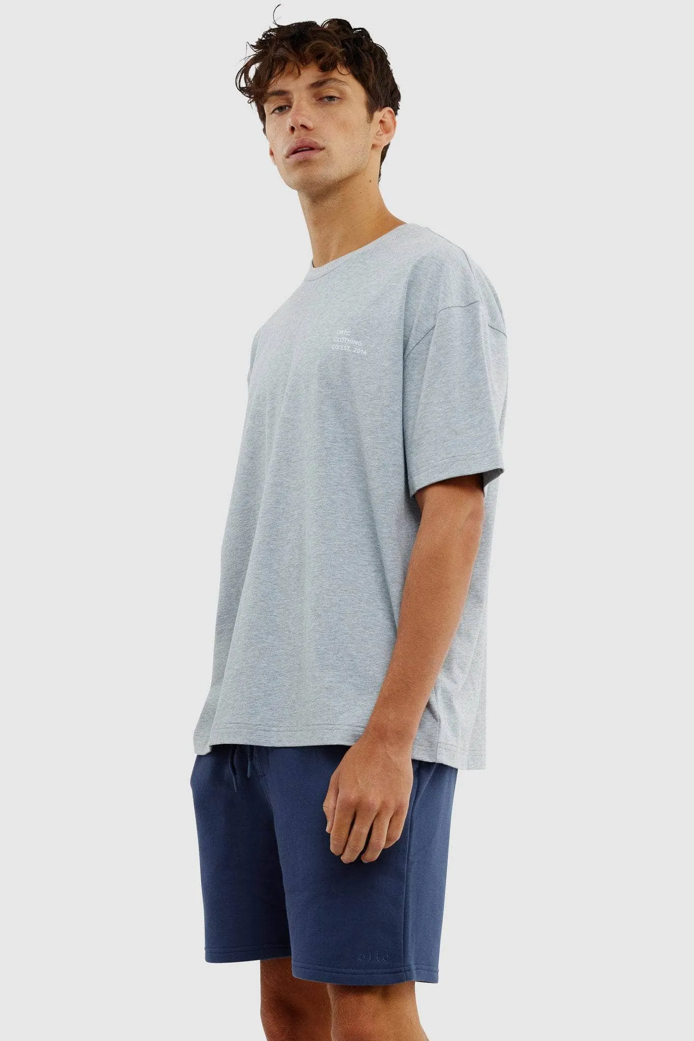Box Fit Logo T Shirt Grey