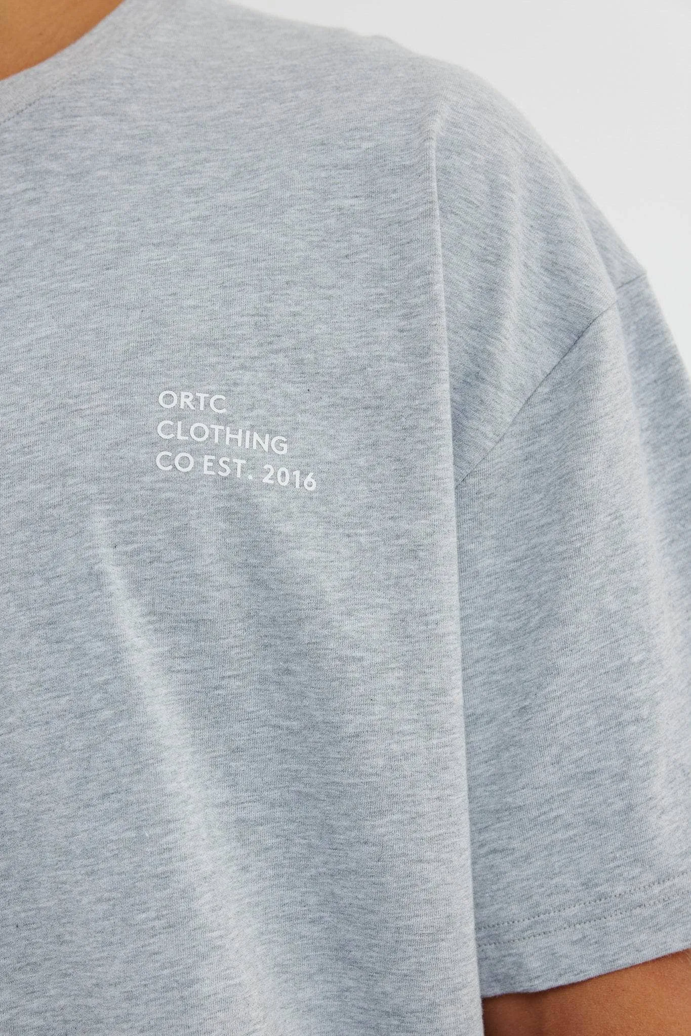 Box Fit Logo T Shirt Grey