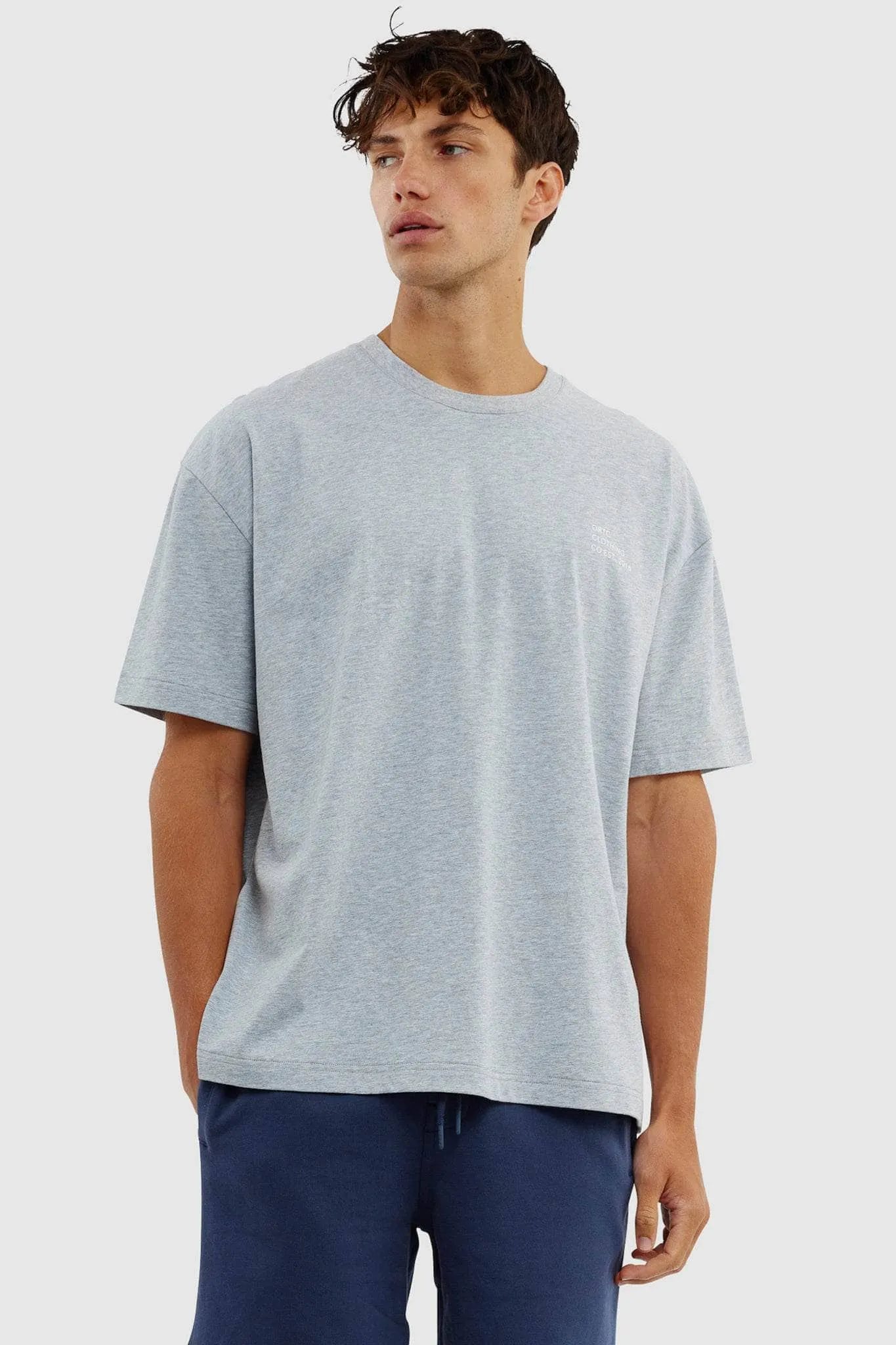 Box Fit Logo T Shirt Grey