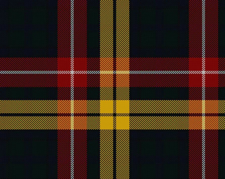 Buchanan Modern Tartan Child's Neck Tie