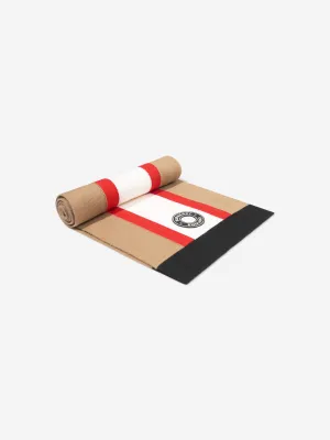 Burberry Kids Baile Icon Scarf In Beige