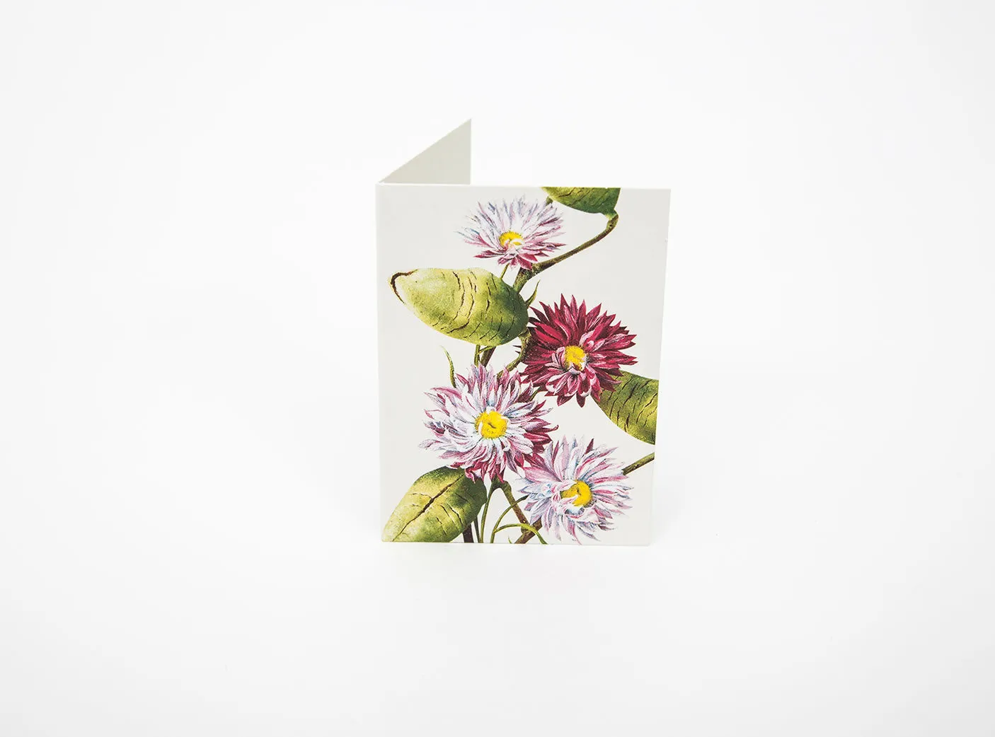 Bush Gems Mini Gift Cards