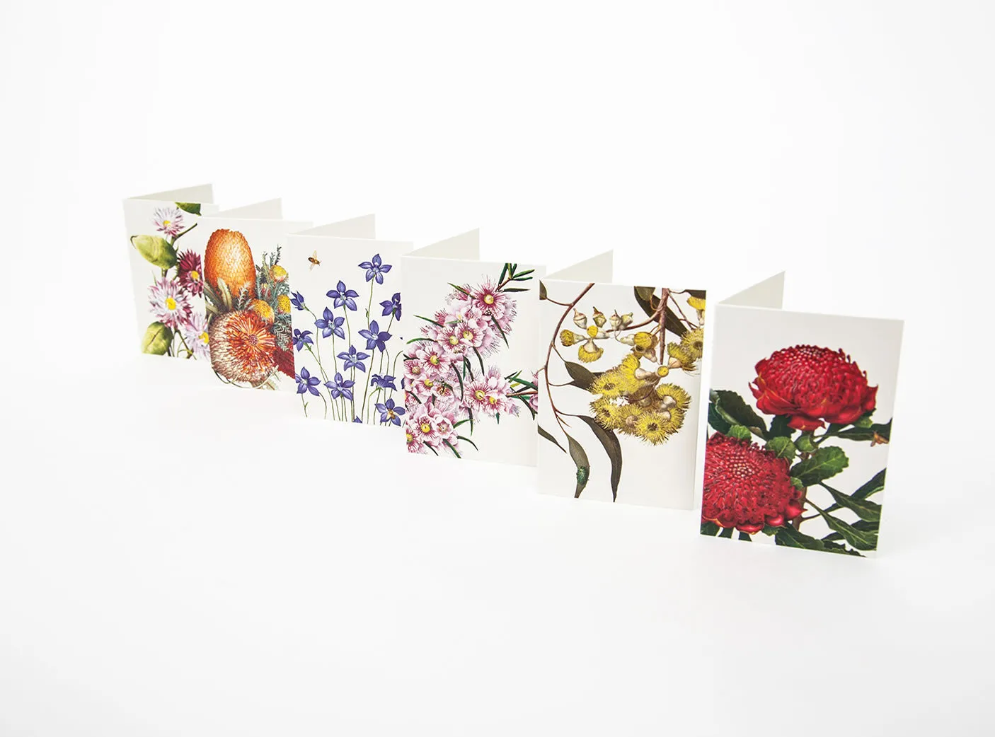 Bush Gems Mini Gift Cards