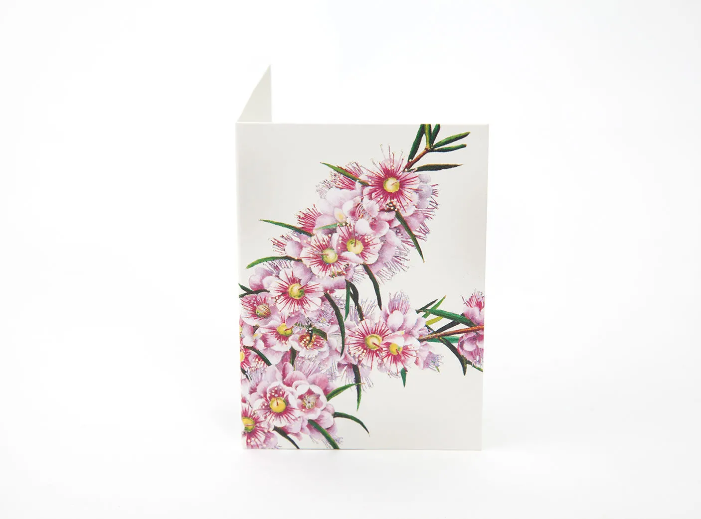 Bush Gems Mini Gift Cards