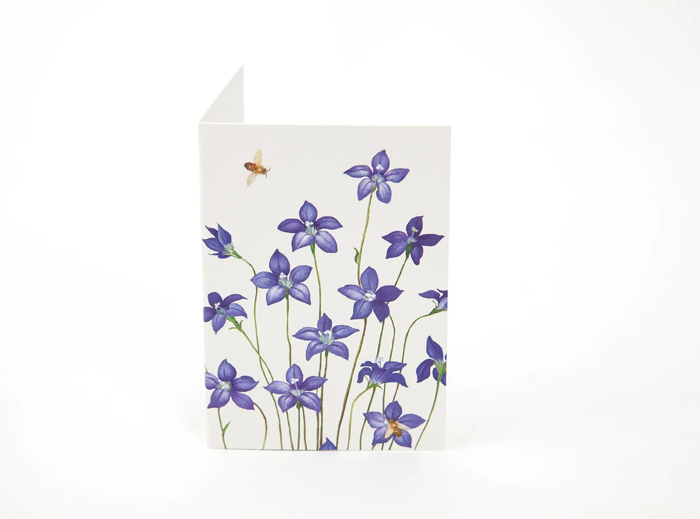 Bush Gems Mini Gift Cards