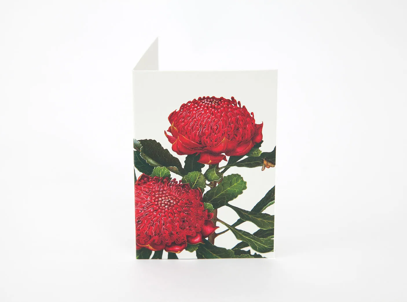 Bush Gems Mini Gift Cards