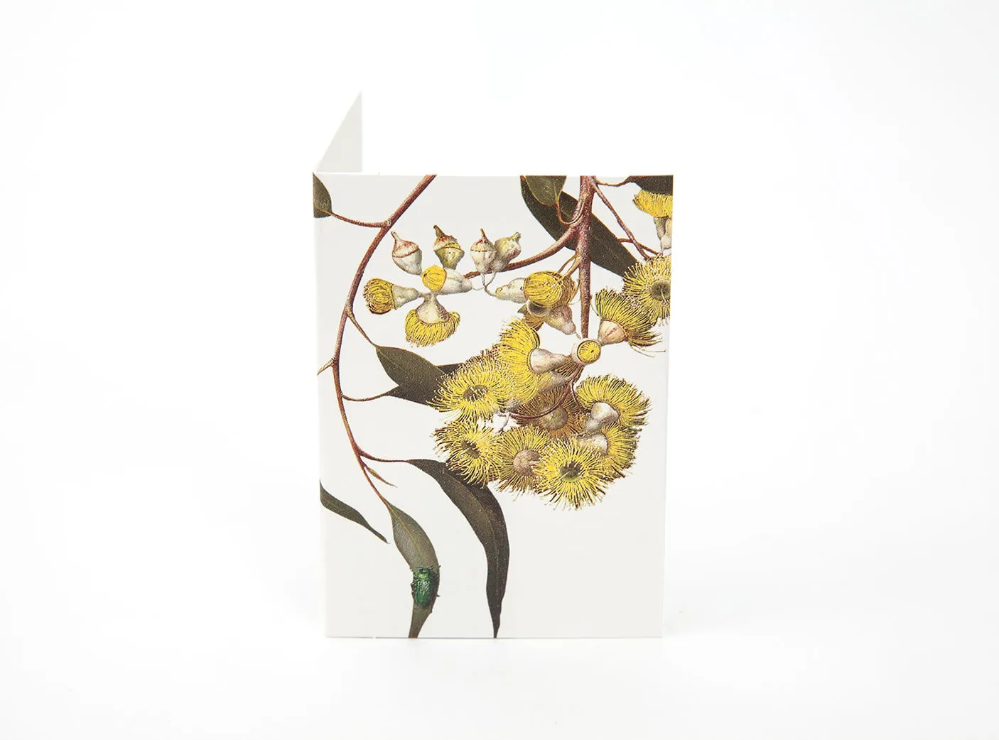 Bush Gems Mini Gift Cards