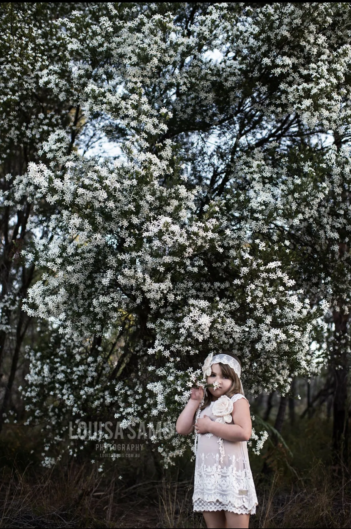 Charlotte's Dress Cream/Coco