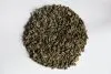 China Gunpowder Green Tea