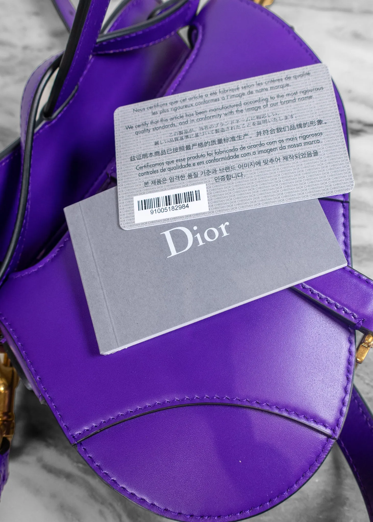 Christian Dior Calfskin Saddle Bag With Strap