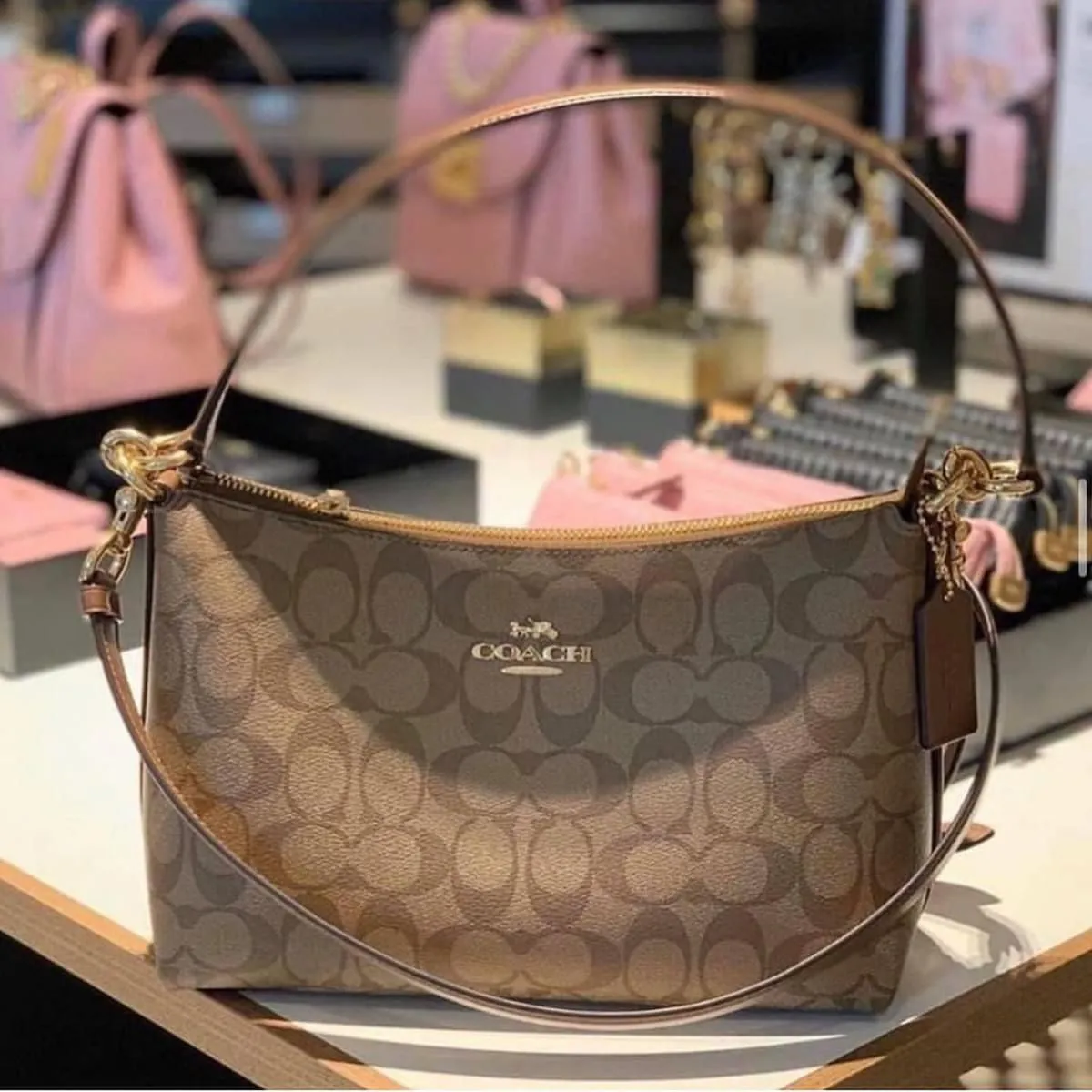 COACH Lewis Shoulder Bag In Signature Canvas (Brown)