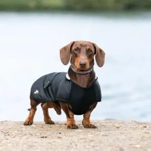 Country and Twee Waterproof Black Underbelly Dachshund Dog Coat