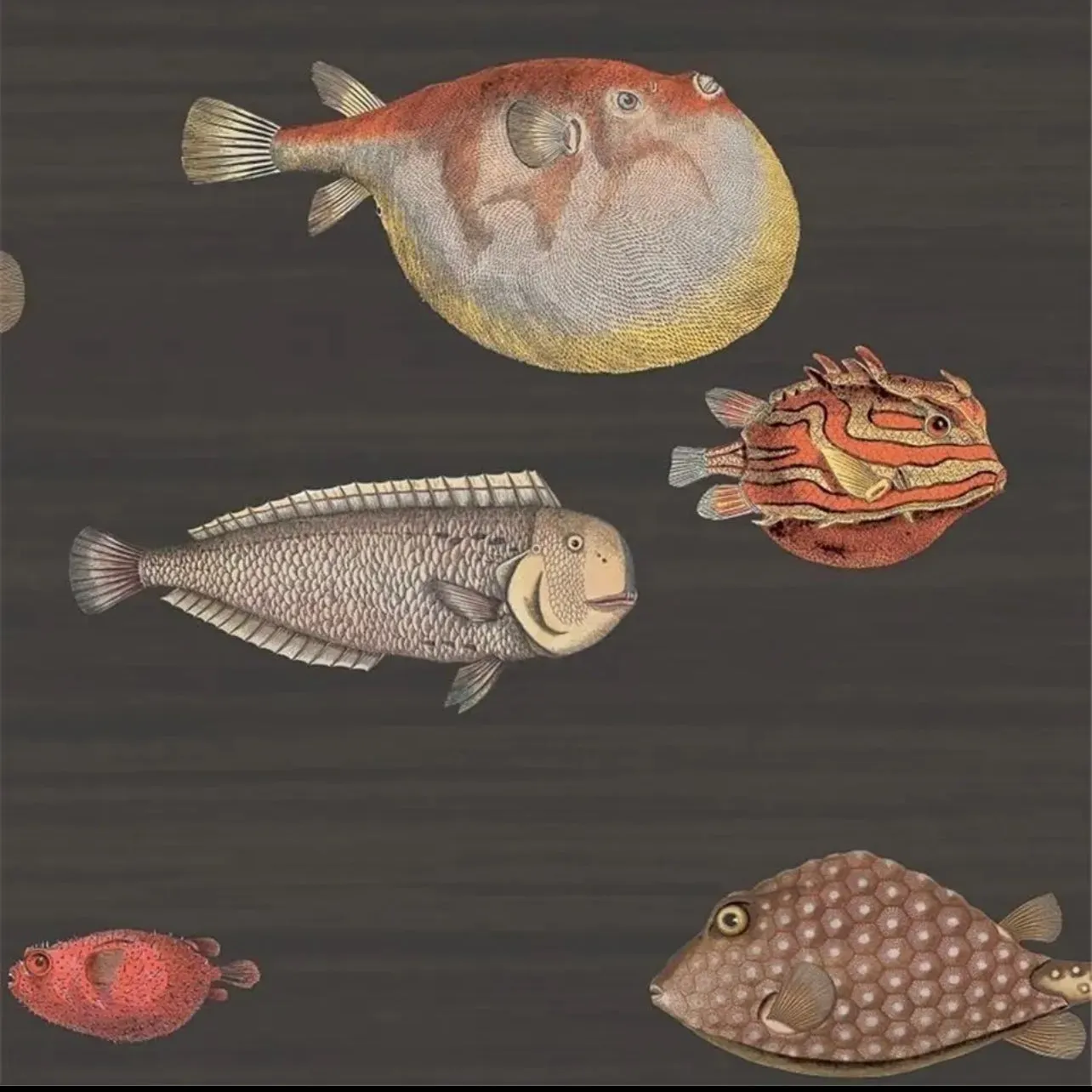 Custom Wallpaper Vintage Ocean Fish Art Mural (㎡)