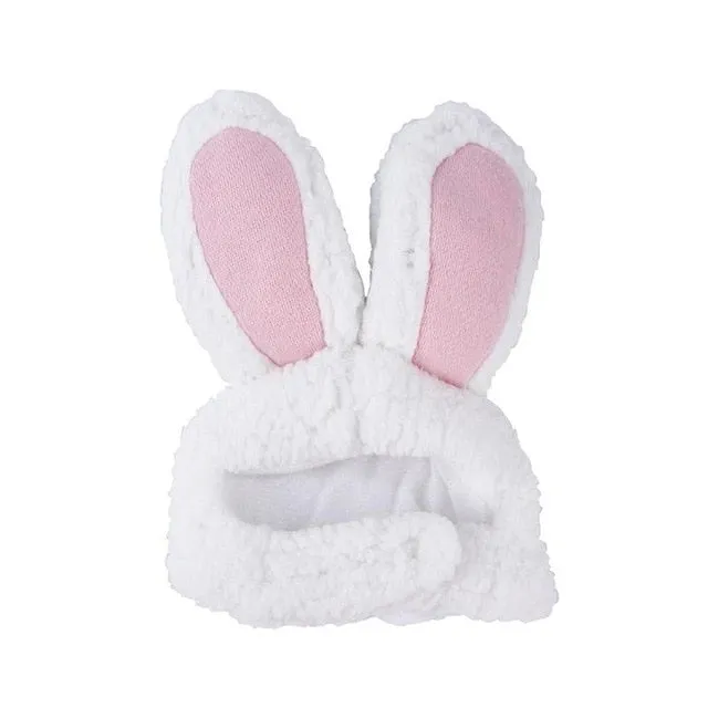 Cute Pet Costume