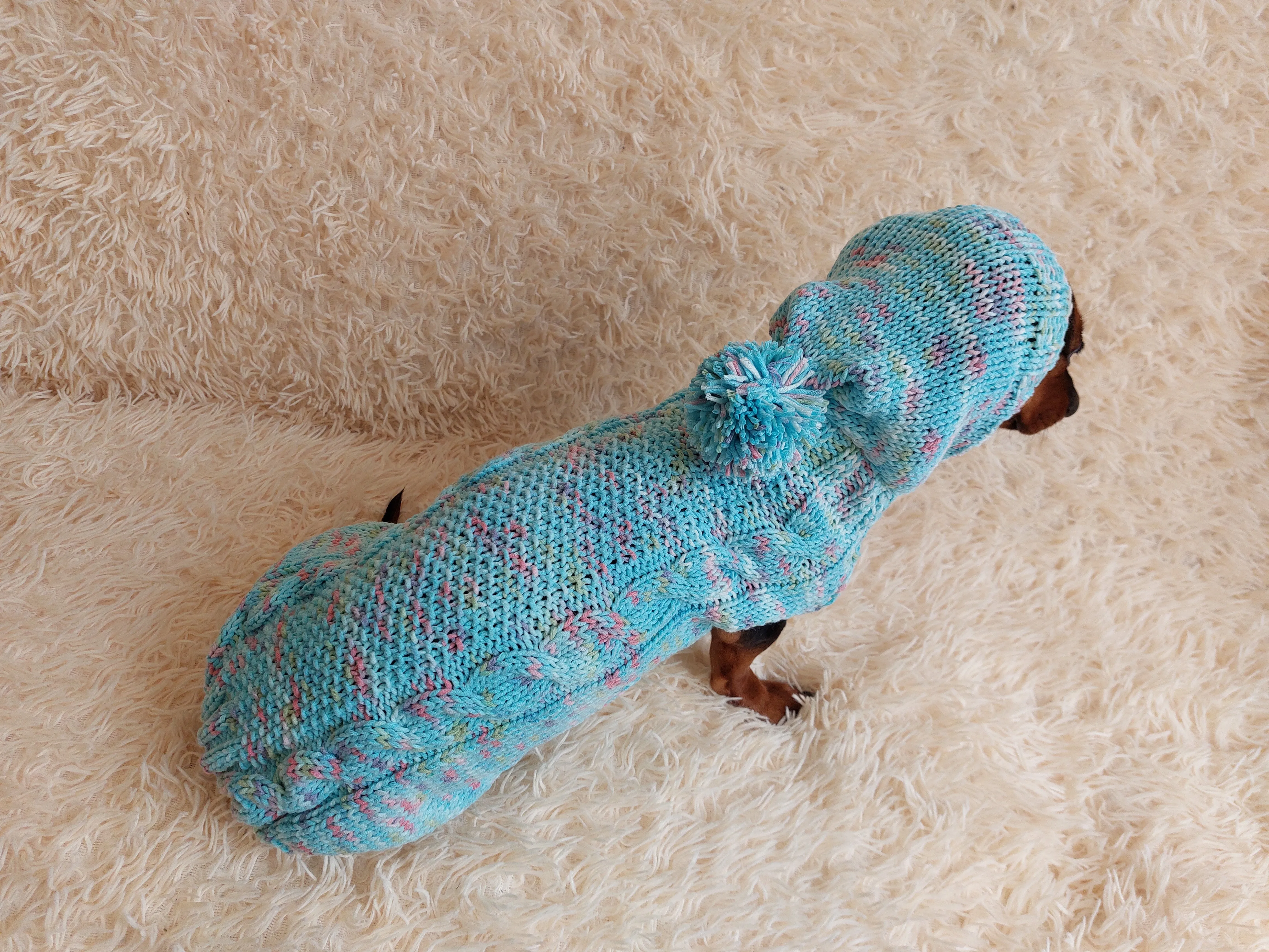 Dachshund Dog Pet Hoodie Warm Rainbow Hooded Jumper
