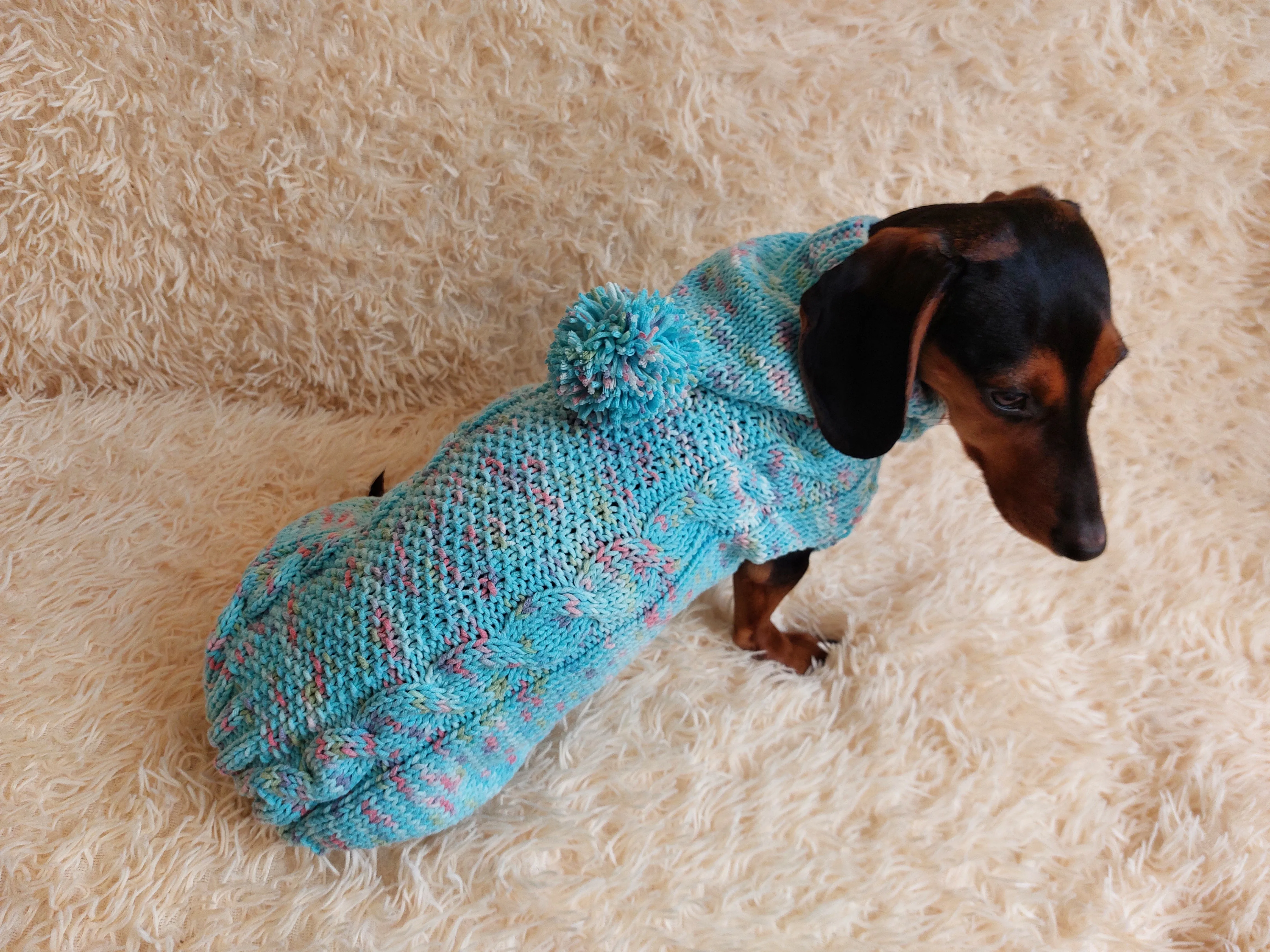 Dachshund Dog Pet Hoodie Warm Rainbow Hooded Jumper
