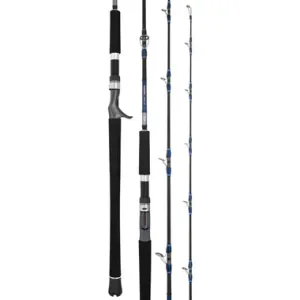 Daiwa 25 Seaborg DG
