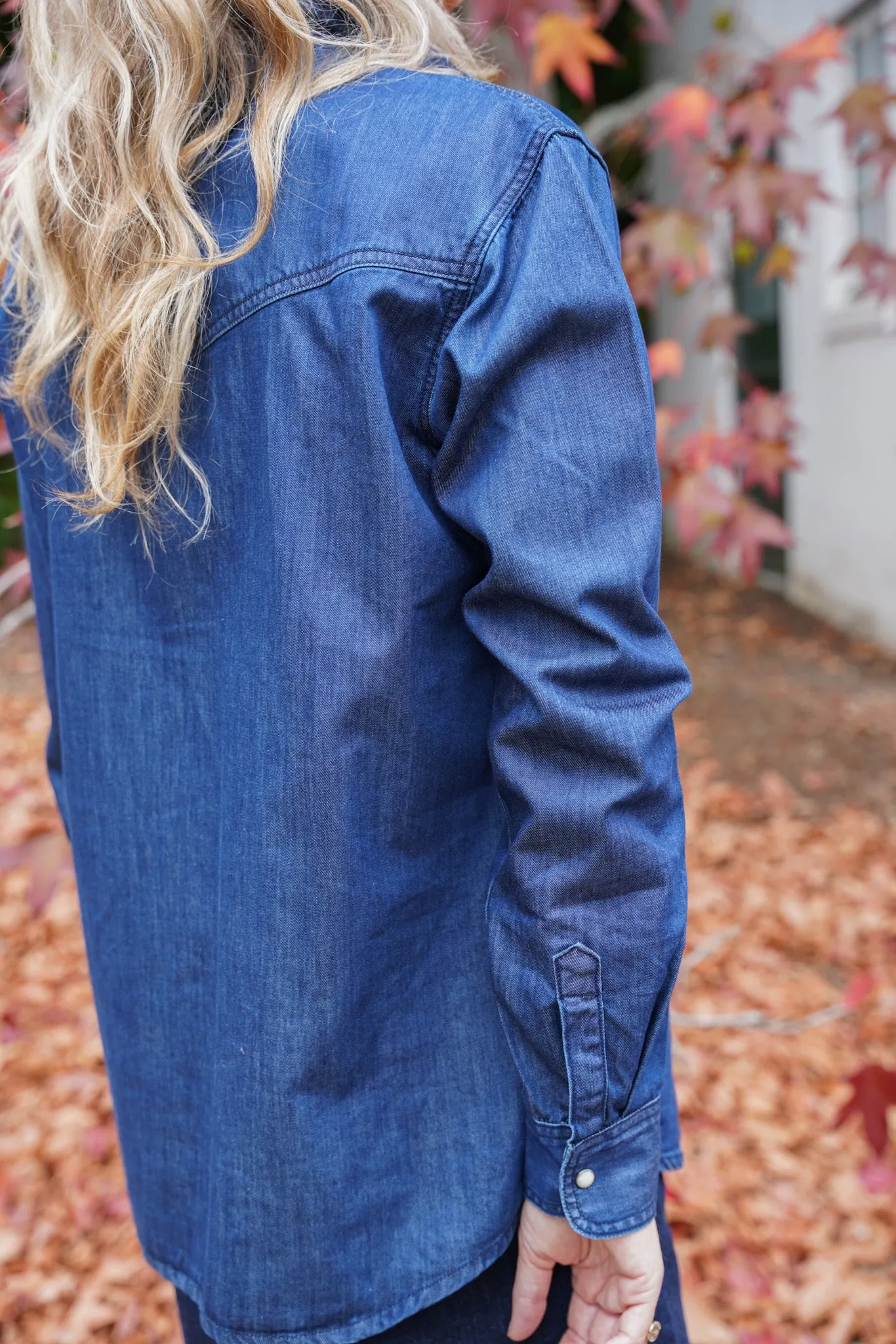 Denim Classic Shirt