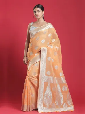 Elegant Orange Saree With Silver Pints All Over